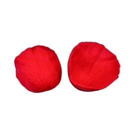 Molde de silicone Marcador Petala de Rosa - Gaby Nunes