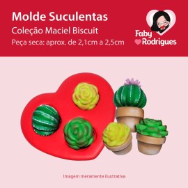 Molde De Silicone Suculentas - Maciel