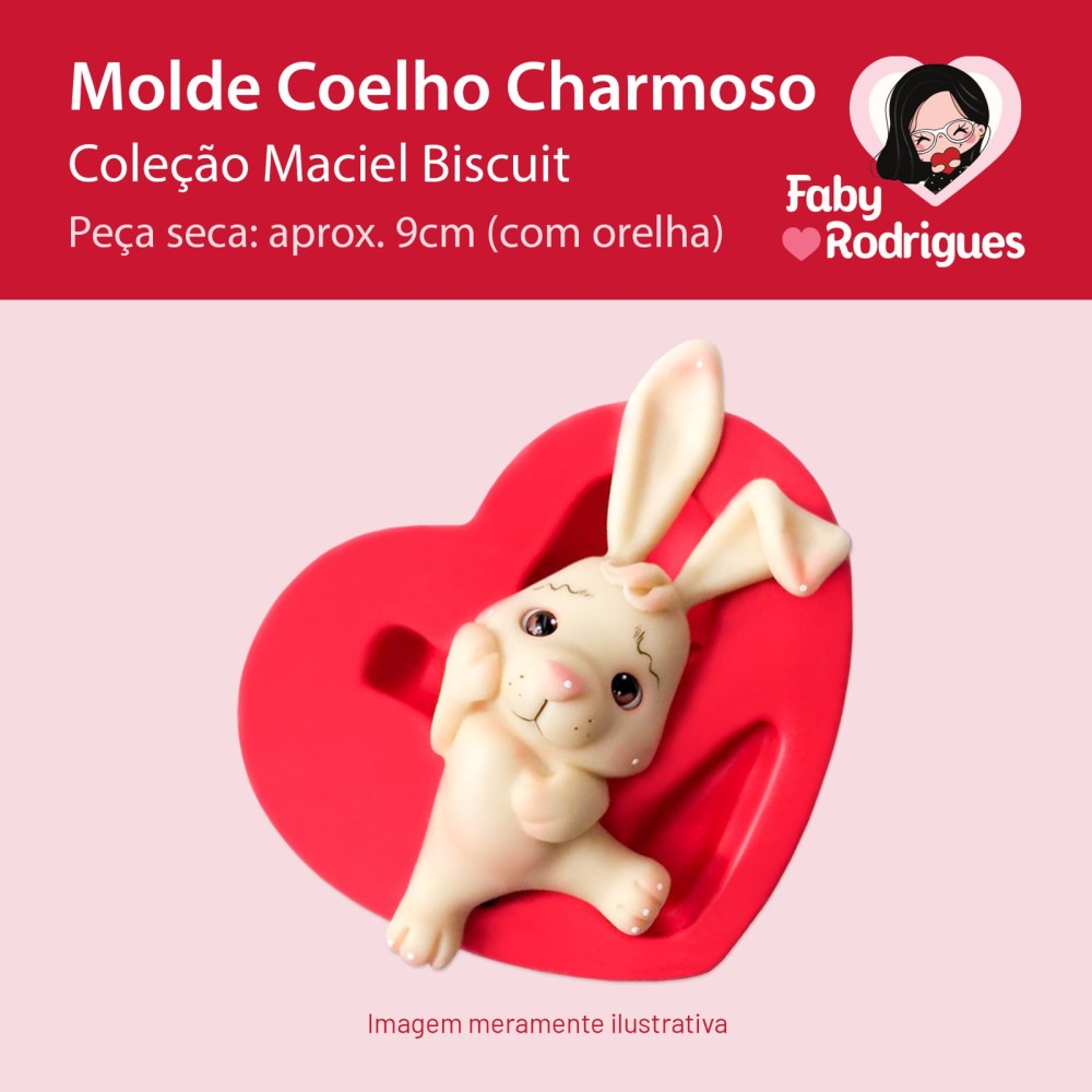 Molde De Silicone Coelho Charmoso - Maciel