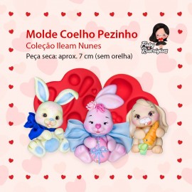 Molde de Silicone Coelho Pezinho - Ileam Nunes