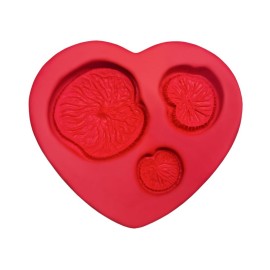 Molde de Silicone Trio Vitoria Regia - Raquel Muniz